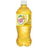 Canada Dry Pineapple Soda 20 oz